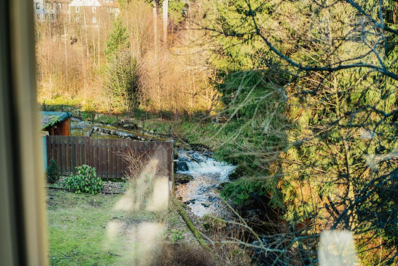 Ferienwohnung Fichte Braunlage Luaran gambar